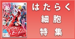 はたらく細胞特集