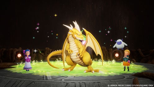 ドラゴンクエストモンスターズ４　枯れ木の国のビアンカ・フローラ ゲーム画面7