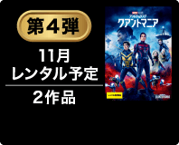 第4弾 11月レンタル予定 2作品